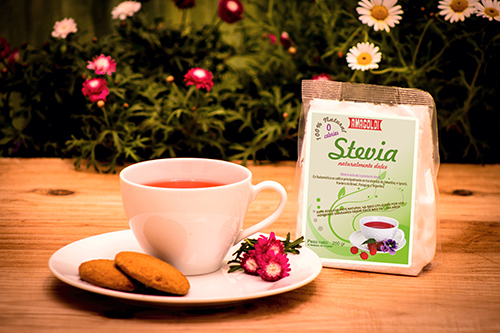 Los dulces beneficios de la Stevia y sus propiedades